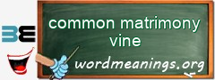WordMeaning blackboard for common matrimony vine